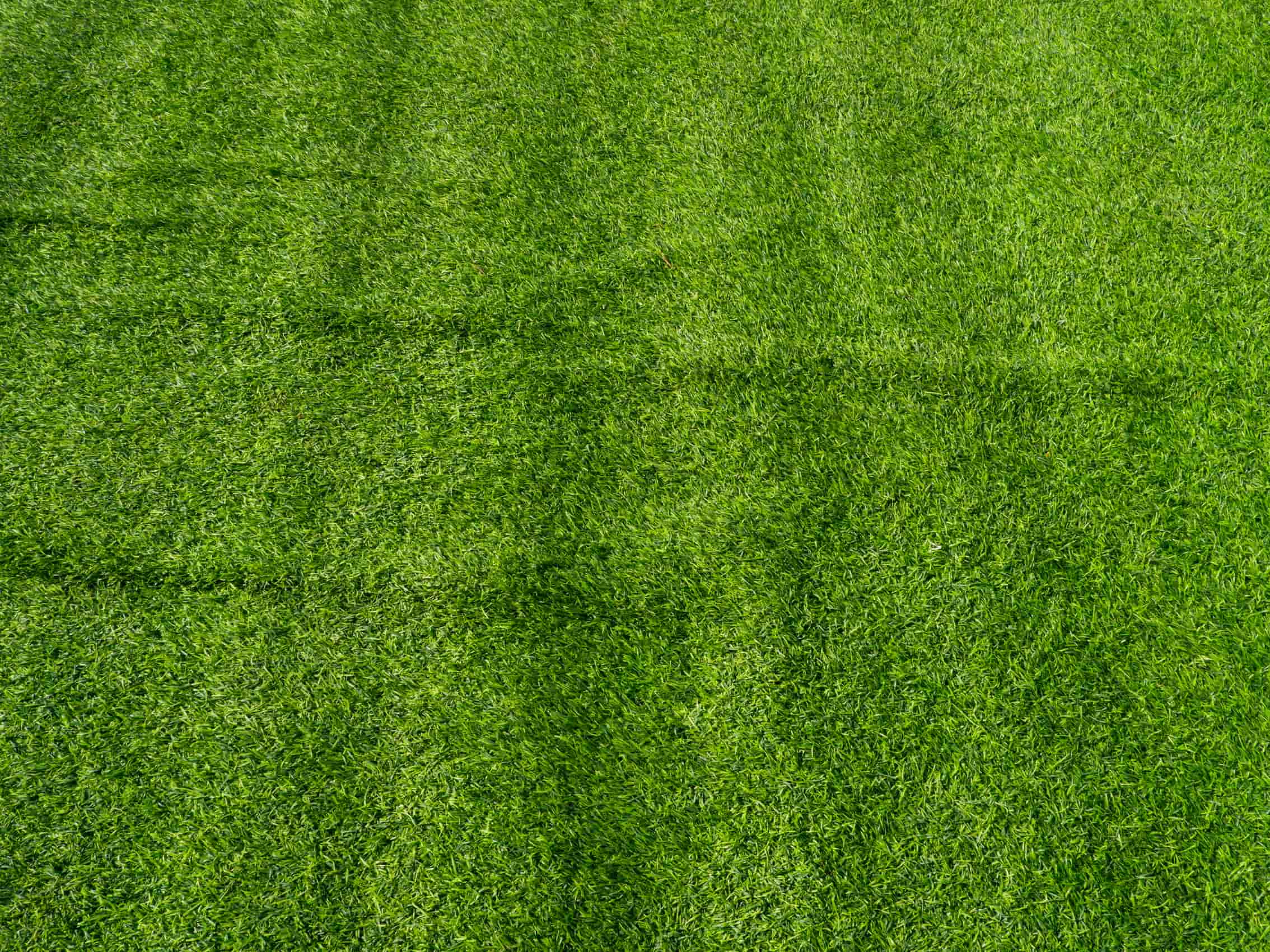 This is garden turf